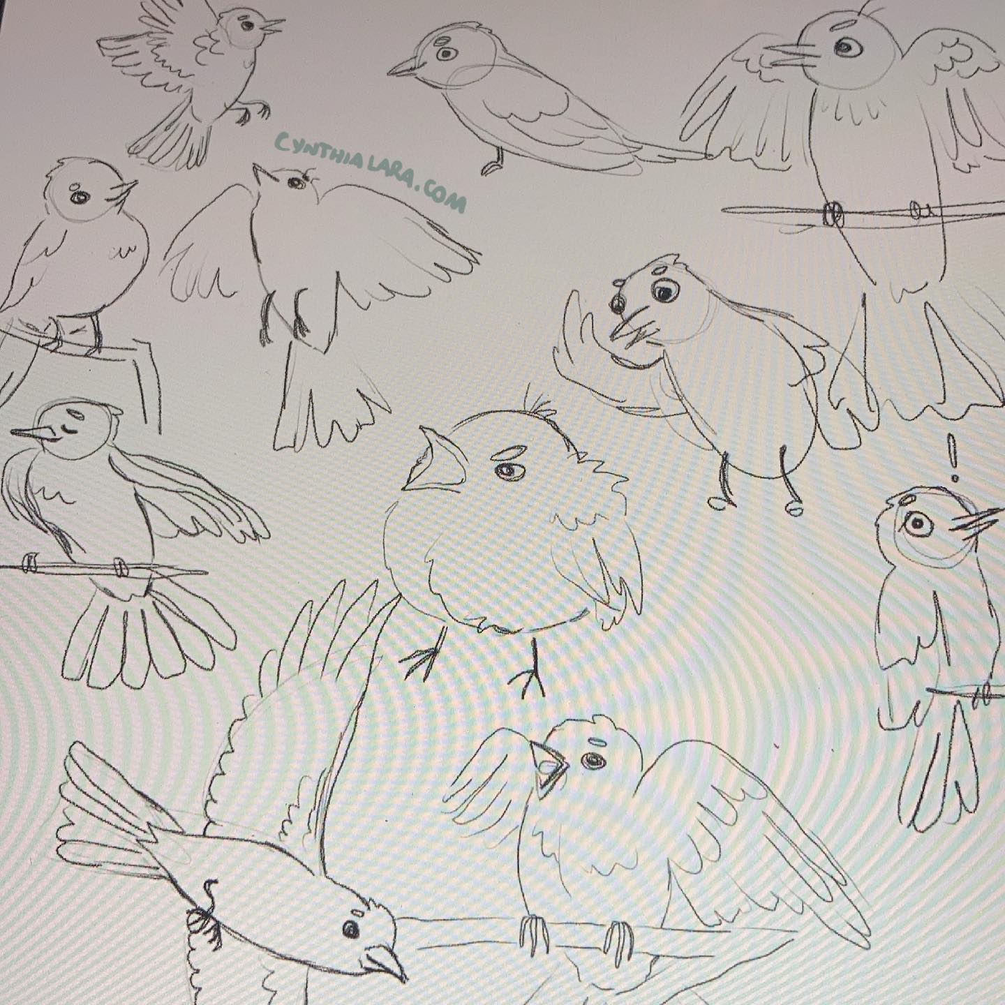 Welcoming Summer With Bird Drawings